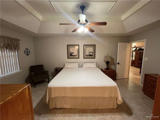 424 Rexine Drive, Alamo, TX 78516