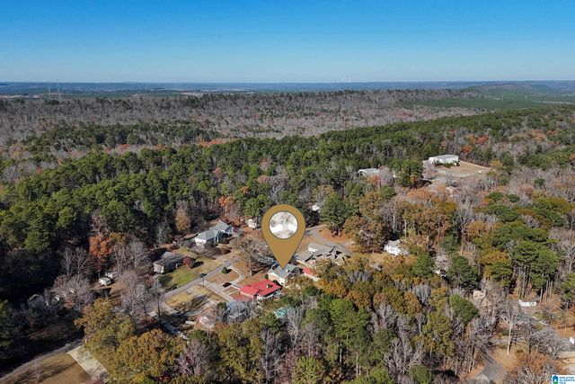 1015 COLEMAN DRIVE, Mccalla, AL 35111