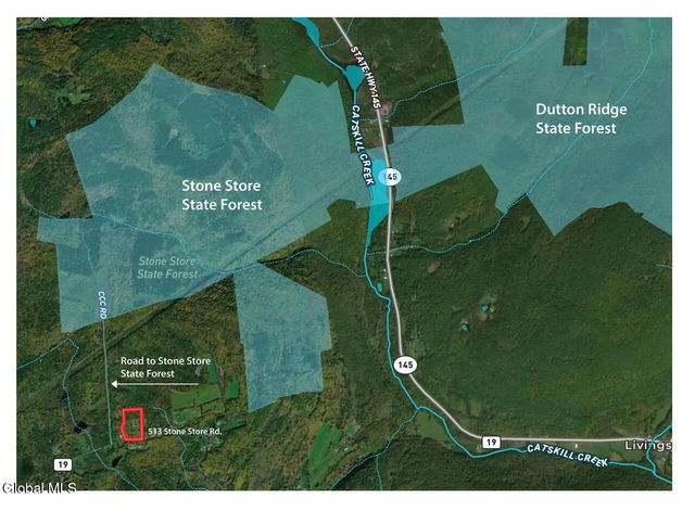 513 Stone Store Road, Broome, NY 12122