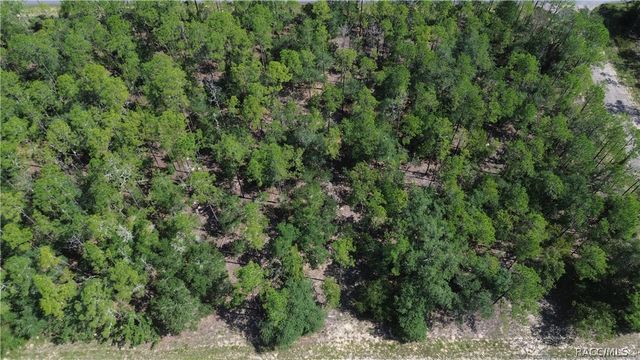 617 E Marquette Lane, Citrus Springs, FL 34434