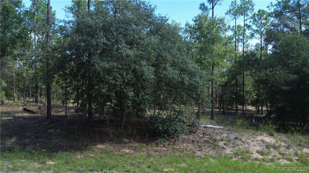 617 E Marquette Lane, Citrus Springs, FL 34434