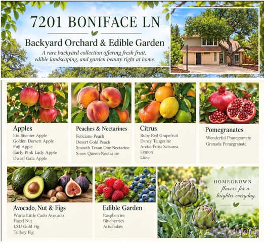 7201 Boniface LN, Austin, TX 78729