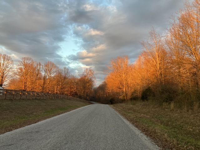 6171 Calvin Potts Rd, Primm Springs, TN 38476