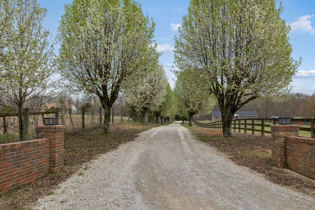 6171 Calvin Potts Rd, Primm Springs, TN 38476