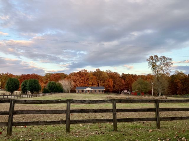 6171 Calvin Potts Rd, Primm Springs, TN 38476