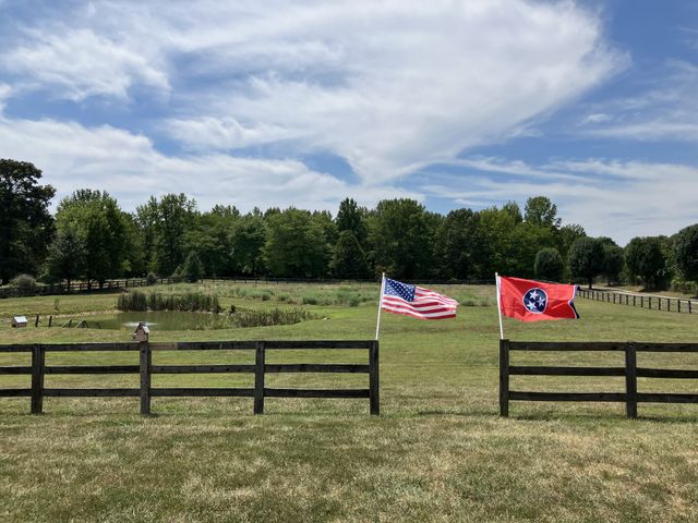 6171 Calvin Potts Rd, Primm Springs, TN 38476