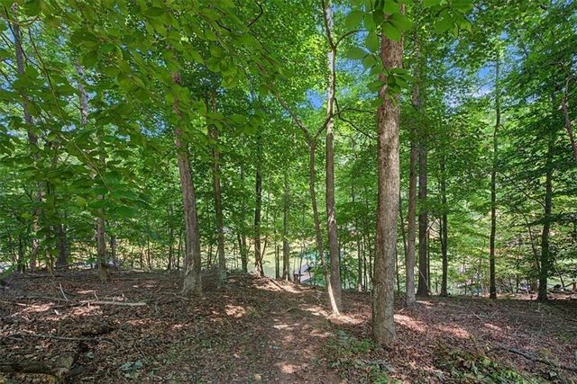 6695 Thunder Trail, Gainesville, GA 30506