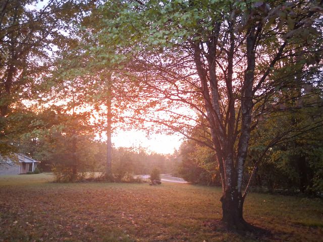 547 Busby Rd, Loretto, TN 38469