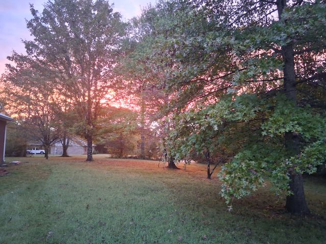 547 Busby Rd, Loretto, TN 38469