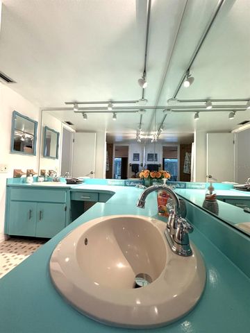 3405 DOVE HOLLOW COURT, Palm Harbor, FL 34683