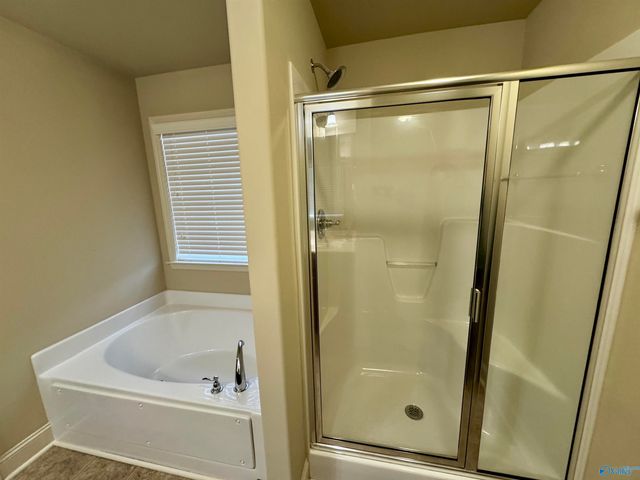 102 Silvermoon Lane, New Market, AL 35811