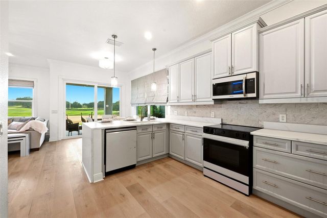 1530 COROLLA COURT, Reunion, FL 34747