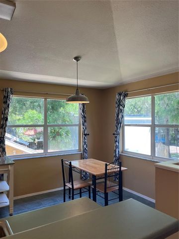 520 E AMELIA STREET, Orlando, FL 32803