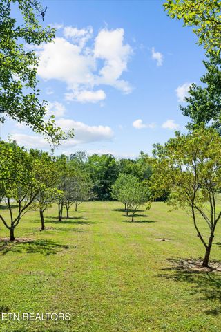 134 County Road 444, Athens, TN 37303