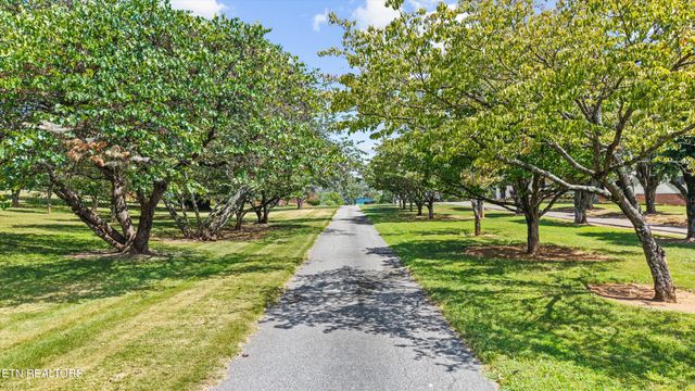 134 County Road 444, Athens, TN 37303