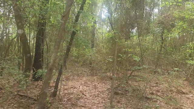 Lot 1 Thornwood Drive, Plantersville, TX 77363