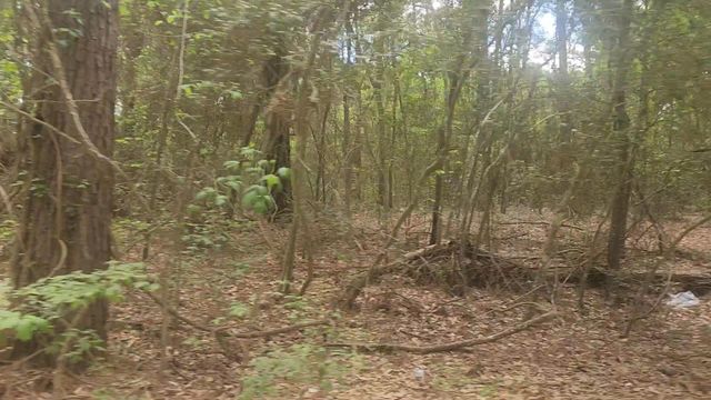 Lot 1 Thornwood Drive, Plantersville, TX 77363
