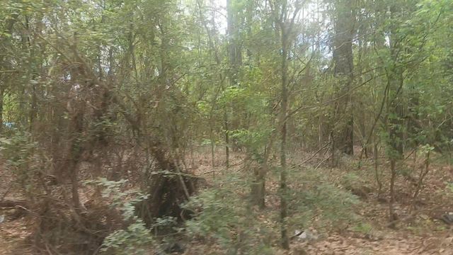 Lot 1 Thornwood Drive, Plantersville, TX 77363