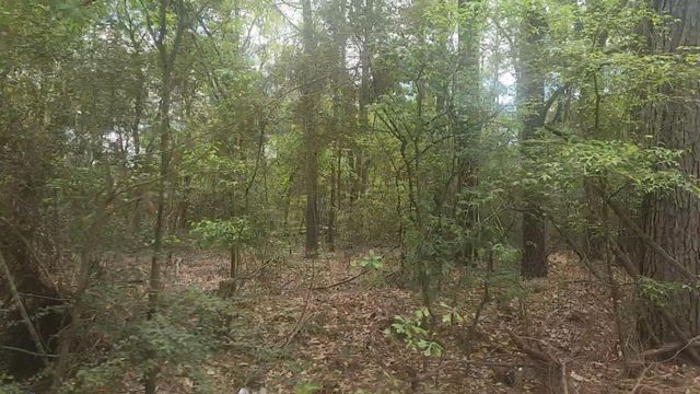 Lot 1 Thornwood Drive, Plantersville, TX 77363
