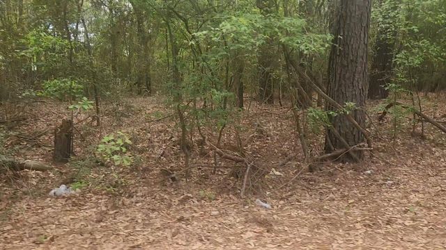 Lot 1 Thornwood Drive, Plantersville, TX 77363