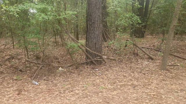 Lot 1 Thornwood Drive, Plantersville, TX 77363