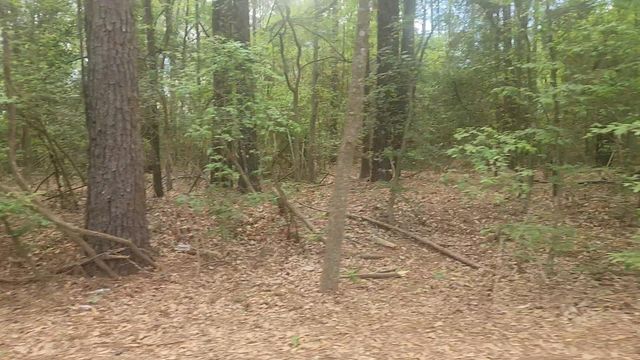 Lot 1 Thornwood Drive, Plantersville, TX 77363