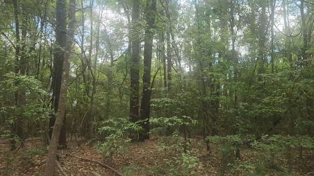Lot 1 Thornwood Drive, Plantersville, TX 77363