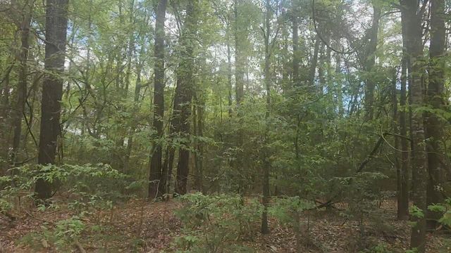 Lot 1 Thornwood Drive, Plantersville, TX 77363