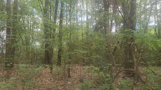 Lot 1 Thornwood Drive, Plantersville, TX 77363
