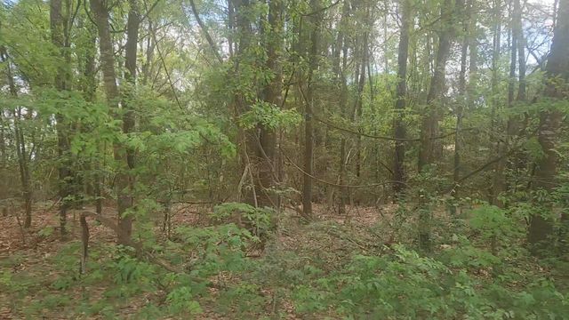 Lot 1 Thornwood Drive, Plantersville, TX 77363