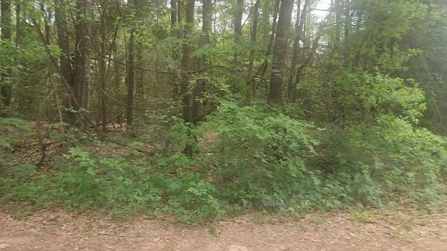 Lot 1 Thornwood Drive, Plantersville, TX 77363