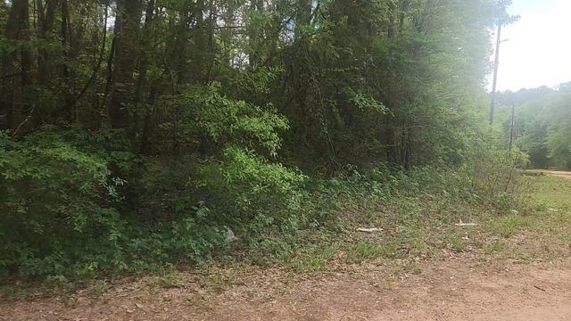 Lot 1 Thornwood Drive, Plantersville, TX 77363