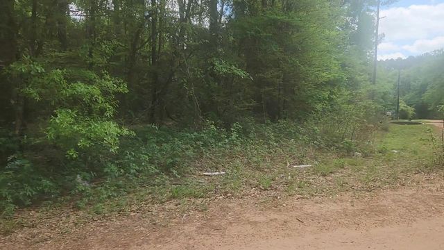 Lot 1 Thornwood Drive, Plantersville, TX 77363