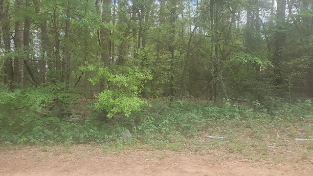 Lot 1 Thornwood Drive, Plantersville, TX 77363