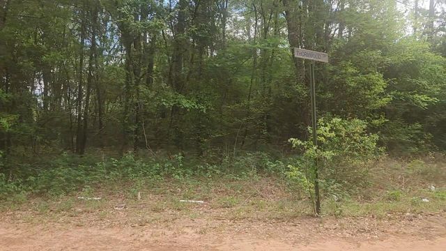 Lot 1 Thornwood Drive, Plantersville, TX 77363