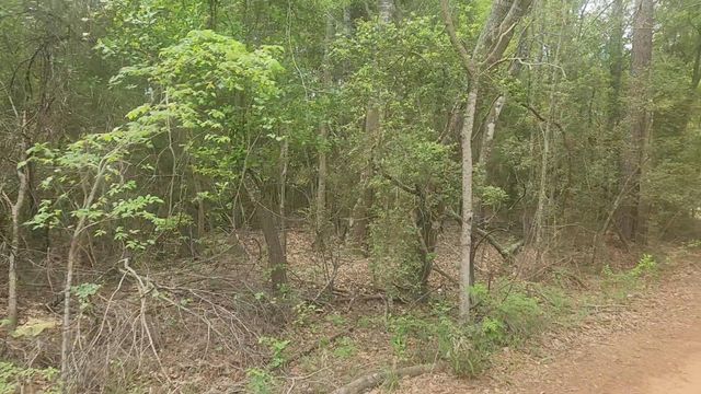Lot 1 Thornwood Drive, Plantersville, TX 77363