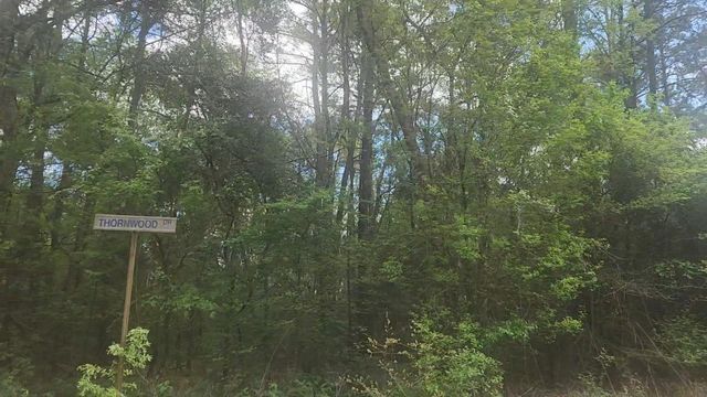 Lot 1 Thornwood Drive, Plantersville, TX 77363