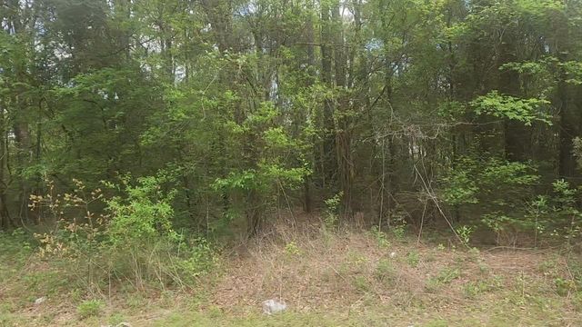 Lot 1 Thornwood Drive, Plantersville, TX 77363