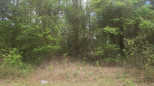 Lot 1 Thornwood Drive, Plantersville, TX 77363