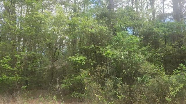Lot 1 Thornwood Drive, Plantersville, TX 77363