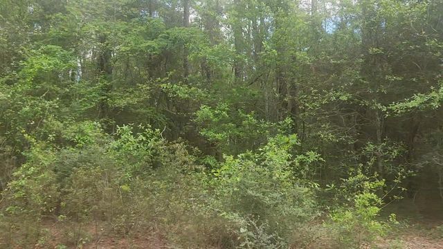 Lot 1 Thornwood Drive, Plantersville, TX 77363