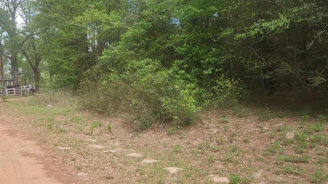 Lot 1 Thornwood Drive, Plantersville, TX 77363