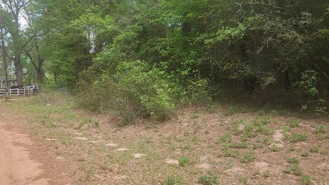 Lot 1 Thornwood Drive, Plantersville, TX 77363