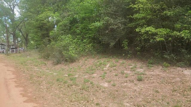 Lot 1 Thornwood Drive, Plantersville, TX 77363