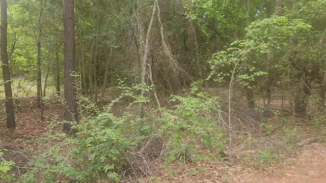 Lot 1 Thornwood Drive, Plantersville, TX 77363