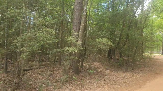 Lot 1 Thornwood Drive, Plantersville, TX 77363