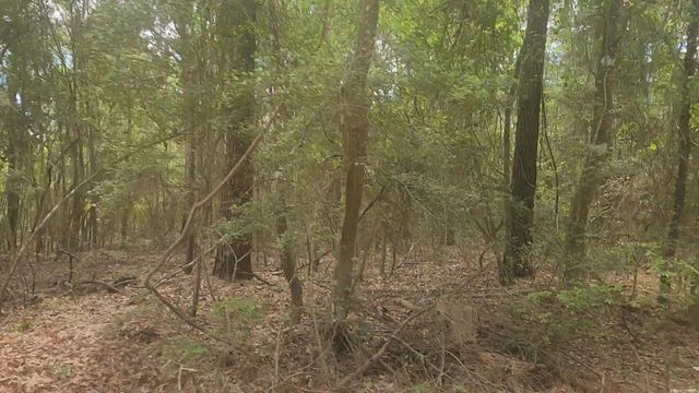 Lot 1 Thornwood Drive, Plantersville, TX 77363