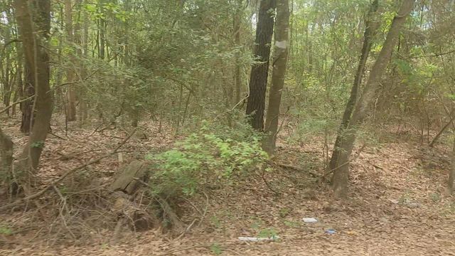Lot 1 Thornwood Drive, Plantersville, TX 77363