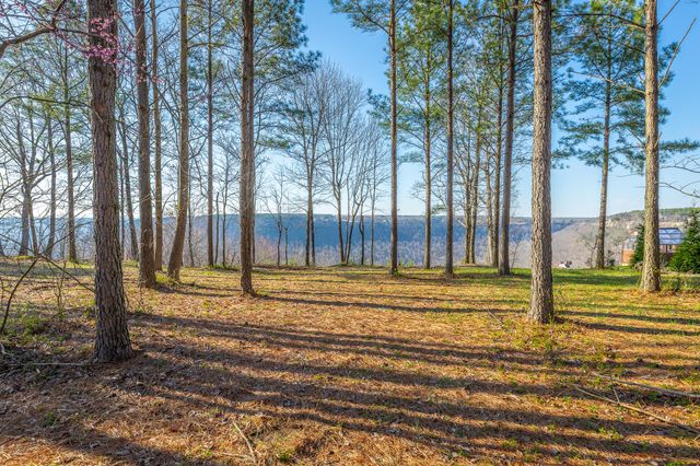 0 Cumberland Circle Sv163, Jasper, TN 37347