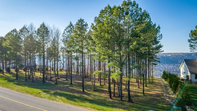 0 Cumberland Circle Sv163, Jasper, TN 37347